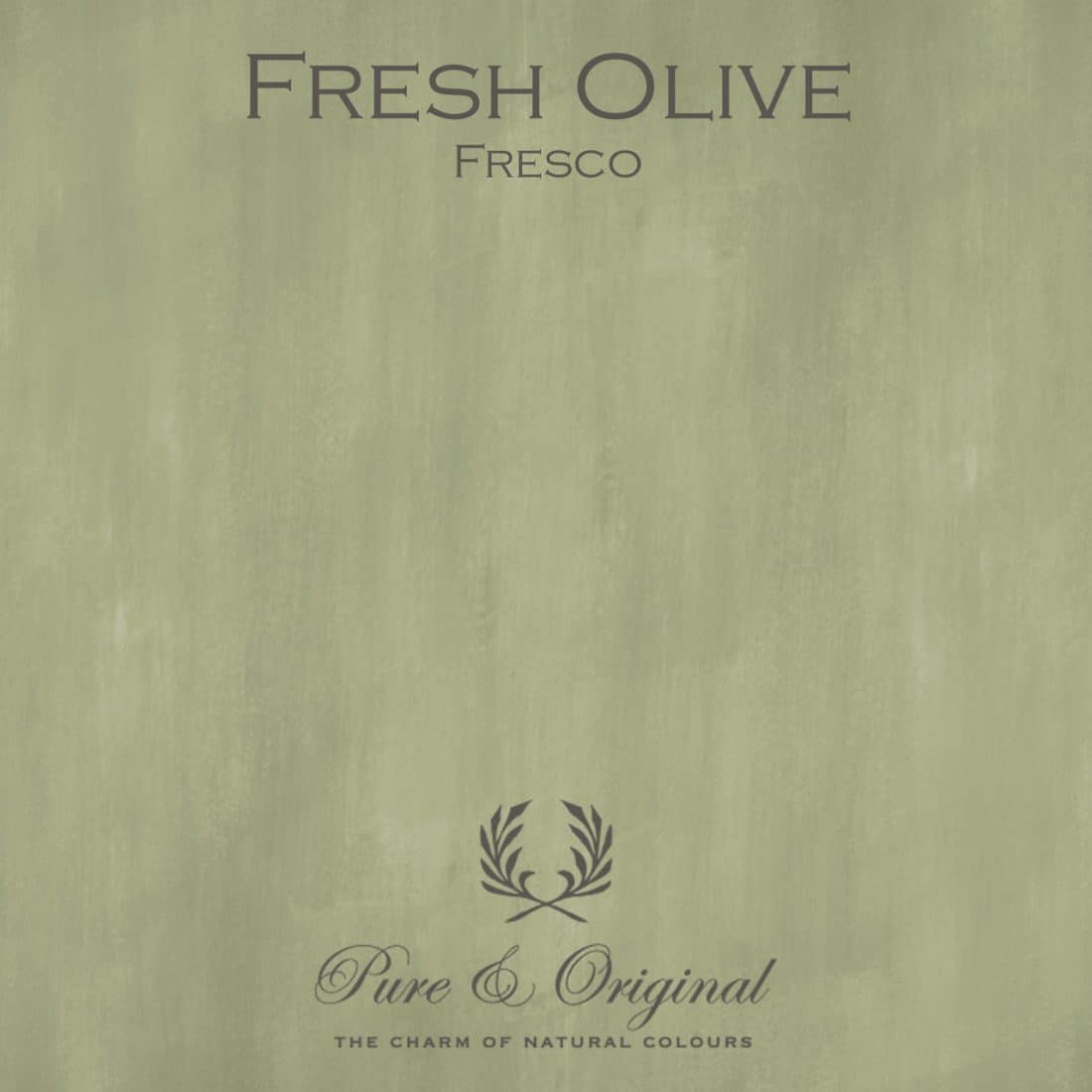 Fresh Olive Fresco Lime Paint Pure Original